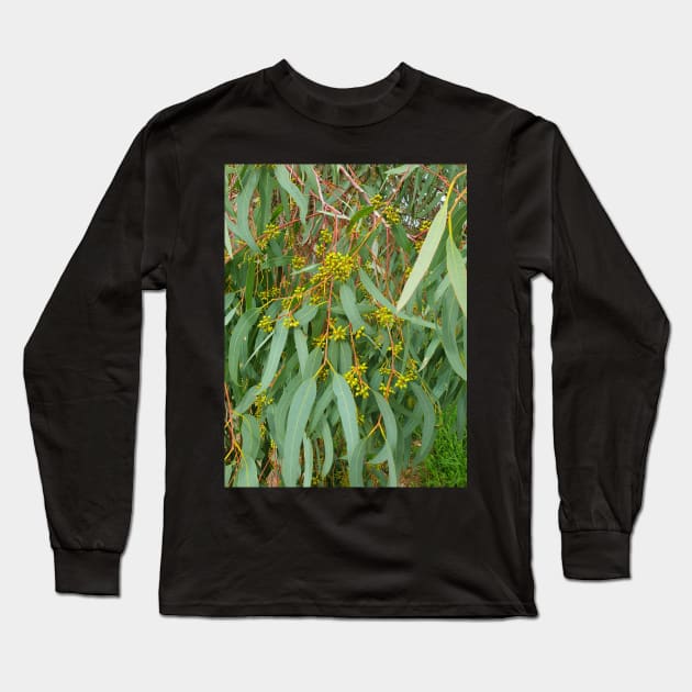 River Red Gum Long Sleeve T-Shirt by claire-l-page